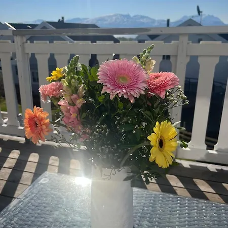 Charming House With Fireplace, Great Views And Free Parking 特罗姆瑟